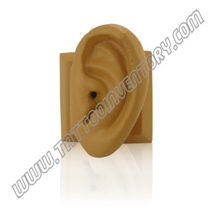 /2918-6987-thickbox/piercing-model-ear.jpg