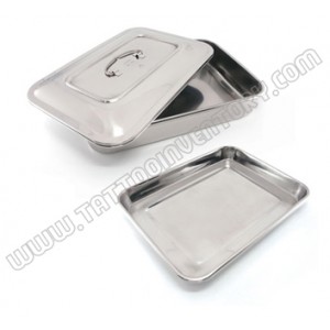 /3195-7380-thickbox/e-large-stainless-steel-tray-with-lid.jpg